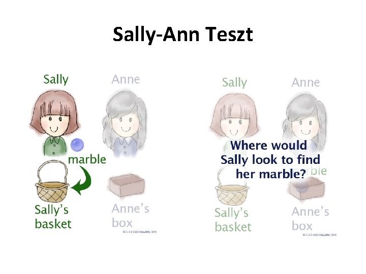 Sally-Ann Teszt 