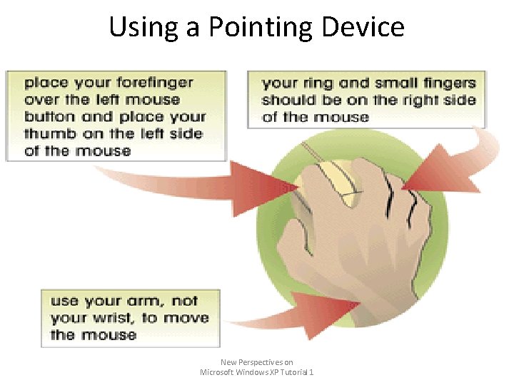 Using a Pointing Device New Perspectives on Microsoft Windows XP Tutorial 1 Using a Pointing Device New Perspectives on Microsoft Windows XP Tutorial 1