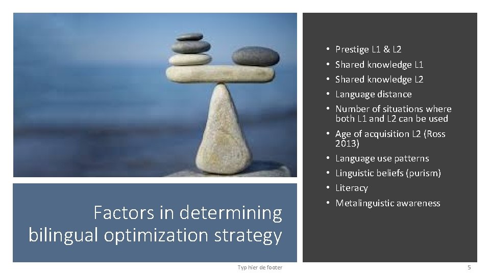  • • • Factors in determining bilingual optimization strategy Typ hier de footer