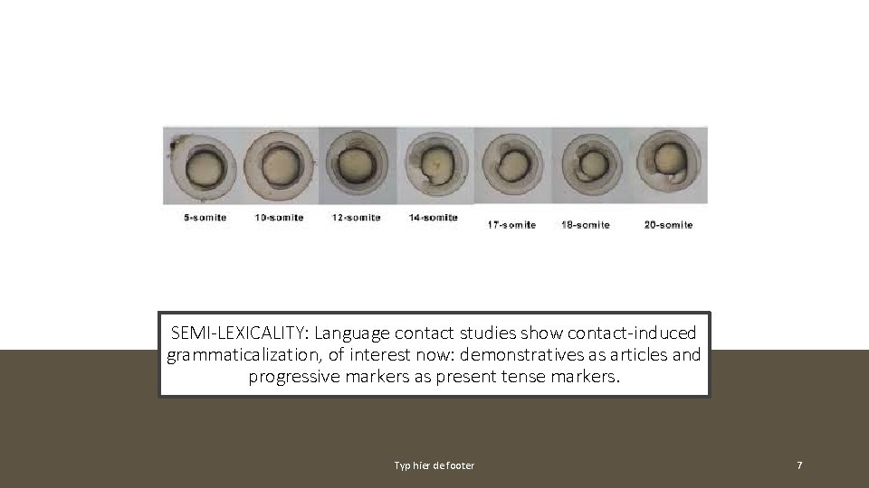 SEMI-LEXICALITY: Language contact studies show contact-induced grammaticalization, of interest now: demonstratives as articles and