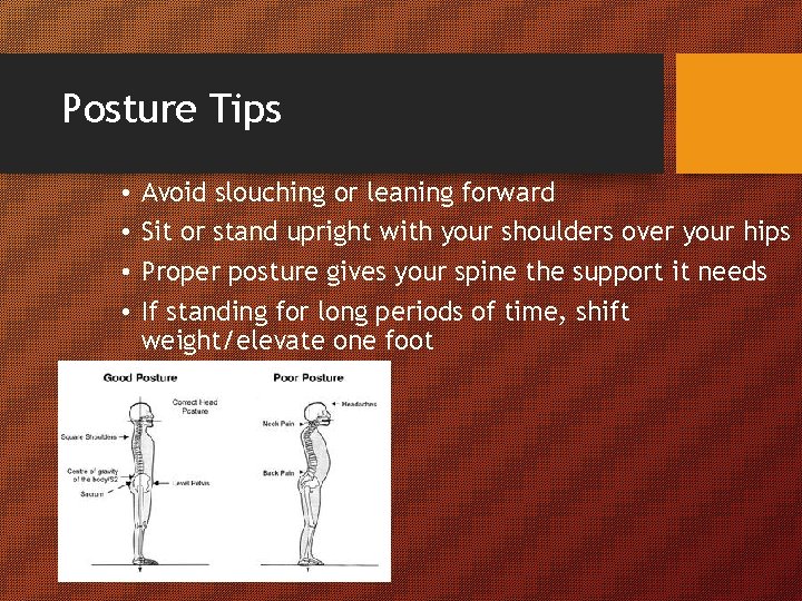 Posture Tips • • Avoid slouching or leaning forward Sit or stand upright with