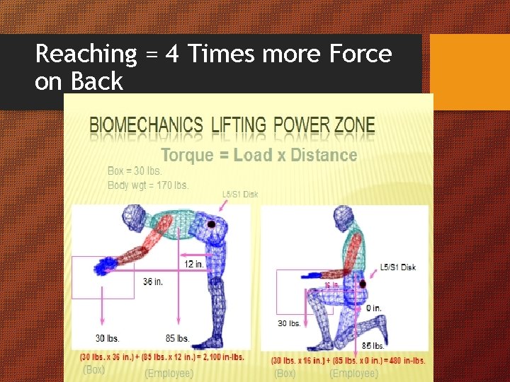 Reaching = 4 Times more Force on Back 