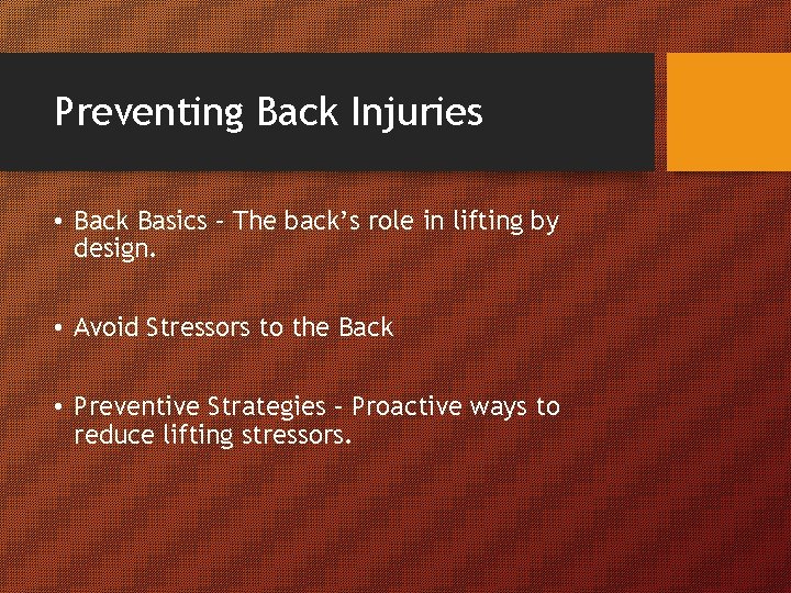 Preventing Back Injuries • Back Basics – The back’s role in lifting by design.