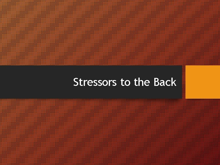 Stressors to the Back 