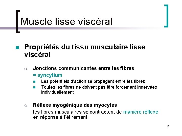 Muscle lisse viscéral n Propriétés du tissu musculaire lisse viscéral ¡ Jonctions communicantes entre