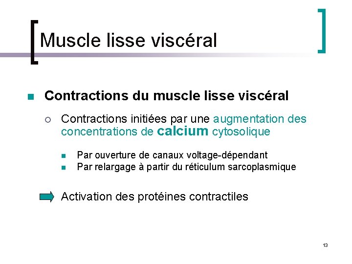 Muscle lisse viscéral n Contractions du muscle lisse viscéral ¡ Contractions initiées par une