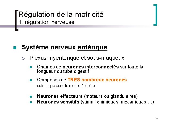Régulation de la motricité 1. régulation nerveuse n Système nerveux entérique ¡ Plexus myentérique