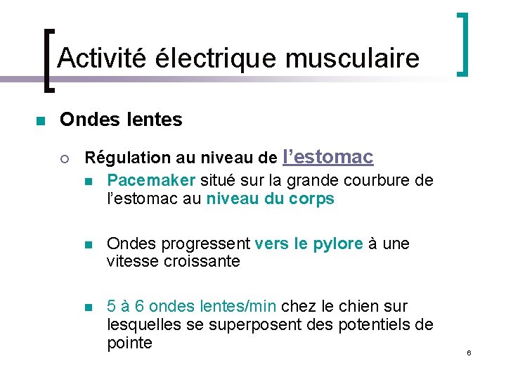 Activité électrique musculaire n Ondes lentes ¡ Régulation au niveau de l’estomac n Pacemaker