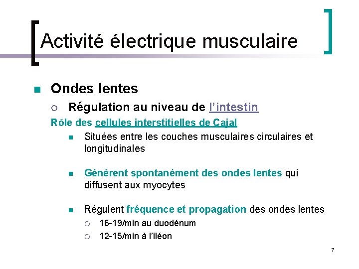 Activité électrique musculaire n Ondes lentes ¡ Régulation au niveau de l’intestin Rôle des