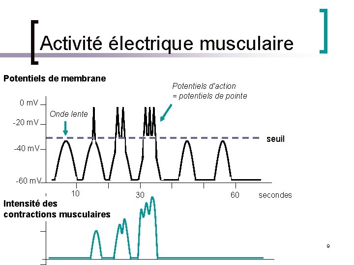 Activité électrique musculaire Potentiels de membrane Potentiels d’action = potentiels de pointe 0 m.