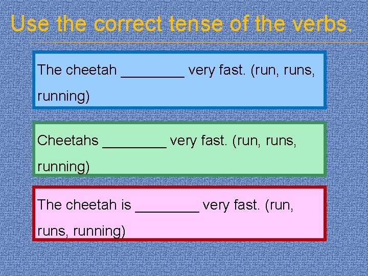 Use the correct tense of the verbs. The cheetah ____ very fast. (run, runs,