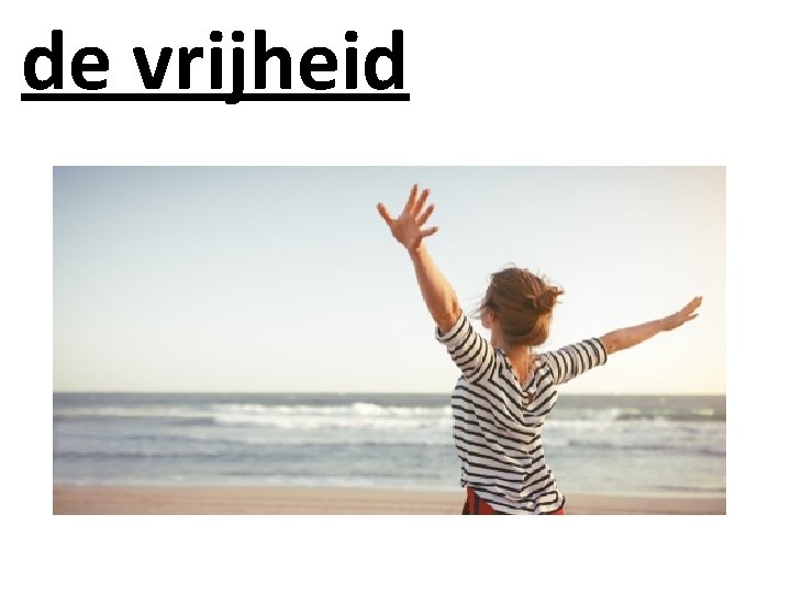 de vrijheid 