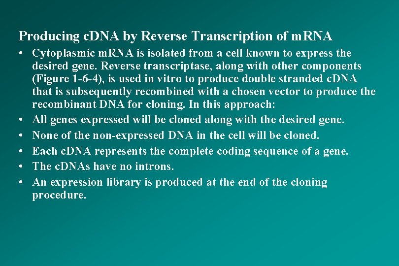 Producing c. DNA by Reverse Transcription of m. RNA • Cytoplasmic m. RNA is