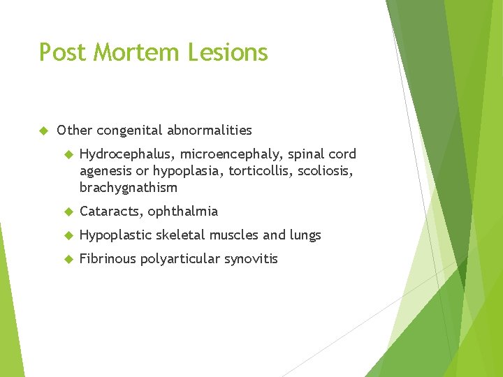 Post Mortem Lesions Other congenital abnormalities Hydrocephalus, microencephaly, spinal cord agenesis or hypoplasia, torticollis,