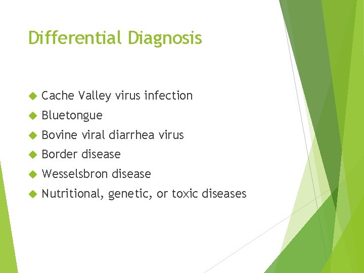 Differential Diagnosis Cache Valley virus infection Bluetongue Bovine viral diarrhea virus Border disease Wesselsbron