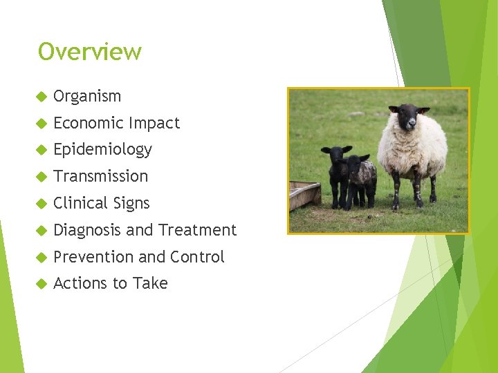 Overview Organism Economic Impact Epidemiology Transmission Clinical Signs Diagnosis and Treatment Prevention and Control