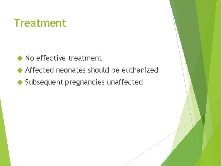 Treatment No effective treatment Affected neonates should be euthanized Subsequent pregnancies unaffected 