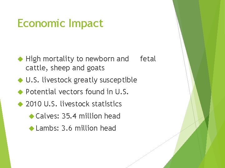 Economic Impact High mortality to newborn and cattle, sheep and goats U. S. livestock