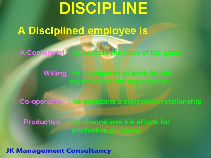 DISCIPLINE A Disciplined employee is A Conformist : he accepts the rules of the