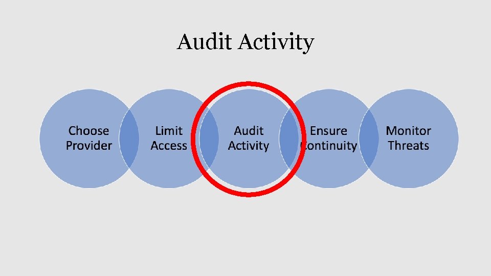 Audit Activity 