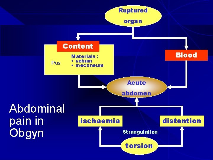 Ruptured organ Content Pus Blood Materials : • sebum • meconeum Acute abdomen Abdominal