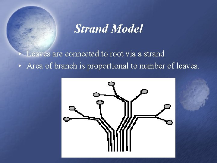 Strand Model • Leaves are connected to root via a strand • Area of