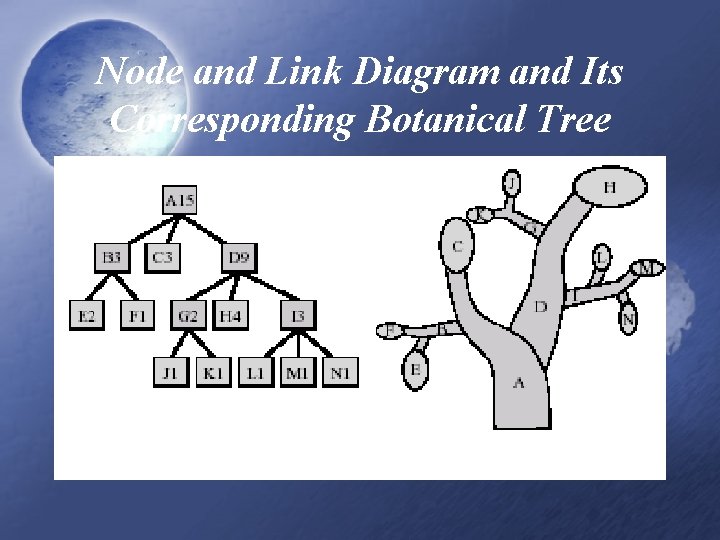 Node and Link Diagram and Its Corresponding Botanical Tree 