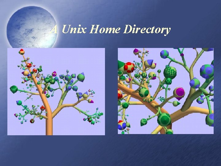 A Unix Home Directory 