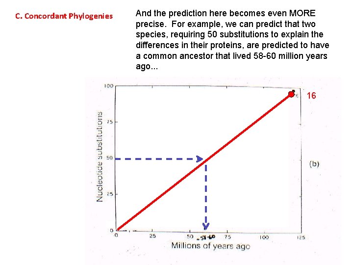 C. Concordant Phylogenies And the prediction here becomes even MORE precise. For example, we