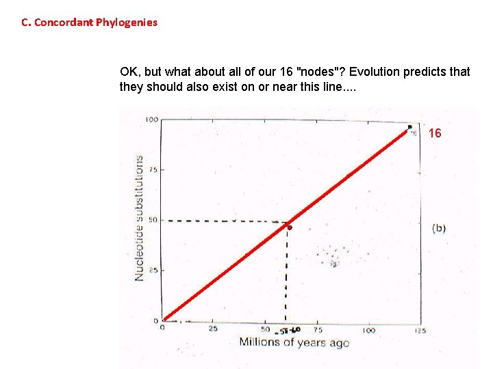 C. Concordant Phylogenies OK, but what about all of our 16 "nodes"? Evolution predicts