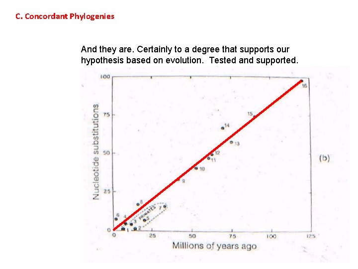 C. Concordant Phylogenies And they are. Certainly to a degree that supports our hypothesis
