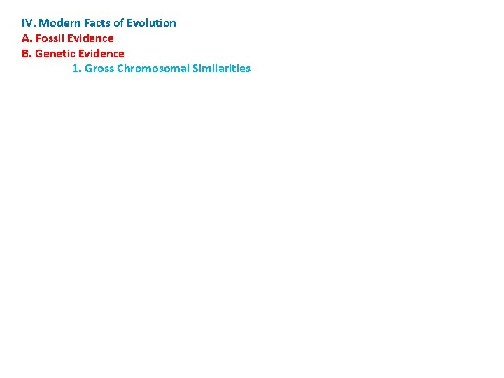 IV. Modern Facts of Evolution A. Fossil Evidence B. Genetic Evidence 1. Gross Chromosomal
