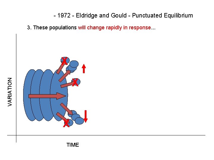 - 1972 - Eldridge and Gould - Punctuated Equilibrium 3. These populations will change