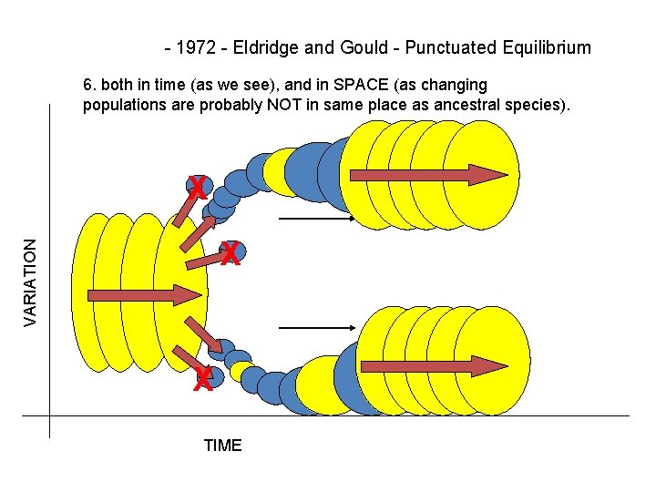 - 1972 - Eldridge and Gould - Punctuated Equilibrium 6. both in time (as
