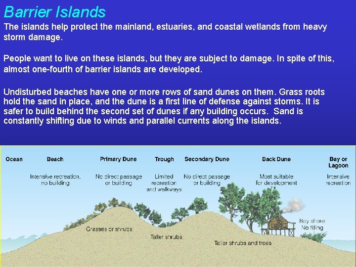 Barrier Islands The islands help protect the mainland, estuaries, and coastal wetlands from heavy