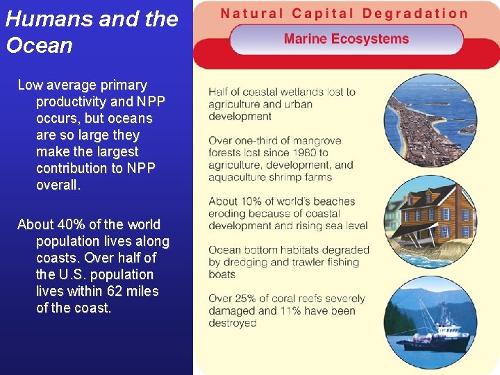 Humans and the Ocean Low average primary productivity and NPP occurs, but oceans are