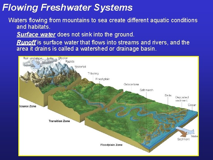 Flowing Freshwater Systems Waters flowing from mountains to sea create different aquatic conditions and