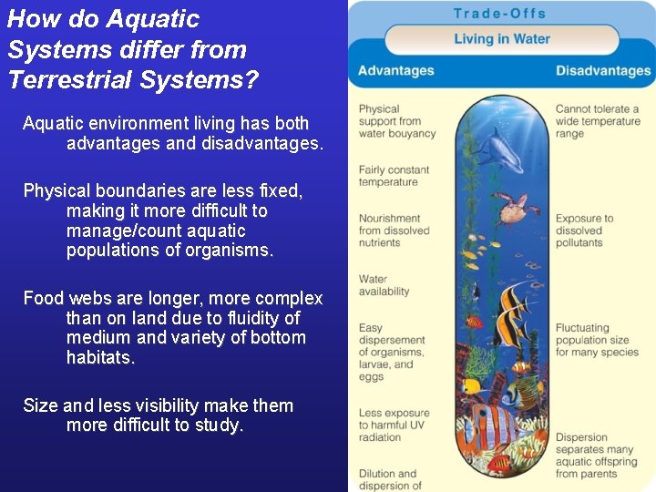 How do Aquatic Systems differ from Terrestrial Systems? Aquatic environment living has both advantages