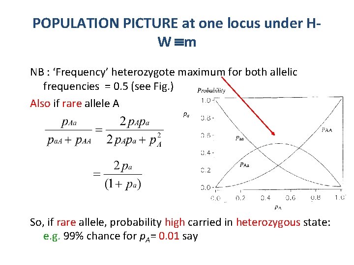 POPULATION PICTURE at one locus under HW m NB : ‘Frequency’ heterozygote maximum for