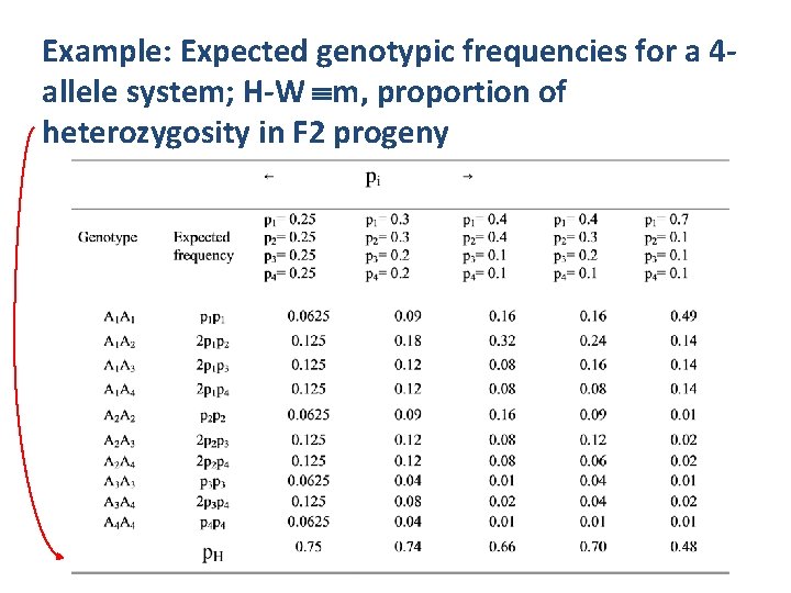 Example: Expected genotypic frequencies for a 4 allele system; H-W m, proportion of heterozygosity