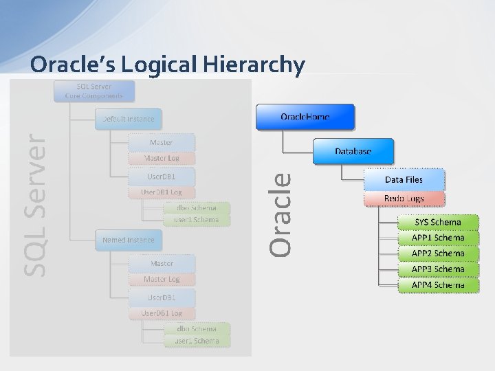 Oracle’s Logical Hierarchy 