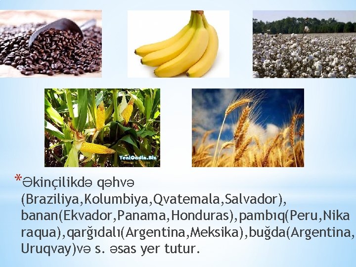 *Əkinçilikdə qəhvə (Braziliya, Kolumbiya, Qvatemala, Salvador), banan(Ekvador, Panama, Honduras), pambıq(Peru, Nika raqua), qarğıdalı(Argentina, Meksika),