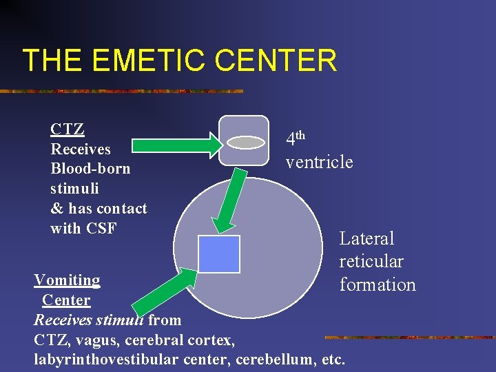 THE EMETIC CENTER CTZ Receives Blood-born stimuli & has contact with CSF 4 th