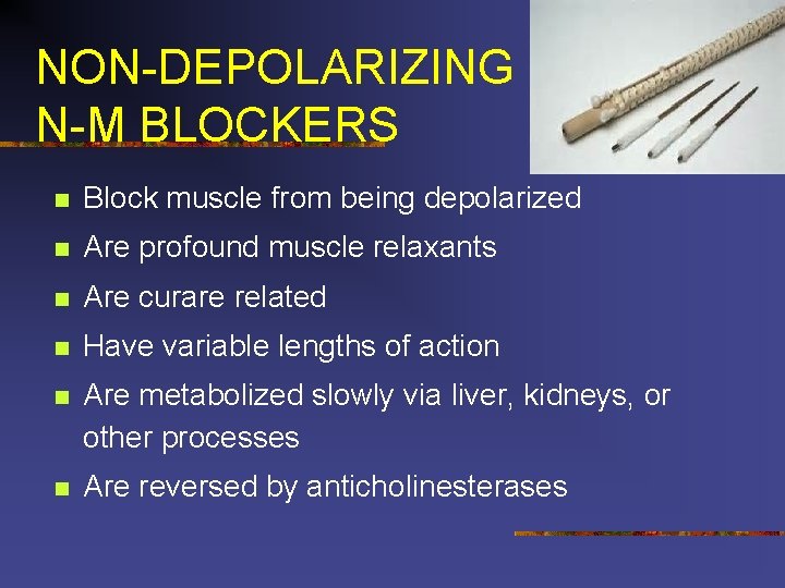 NON-DEPOLARIZING N-M BLOCKERS n Block muscle from being depolarized n Are profound muscle relaxants