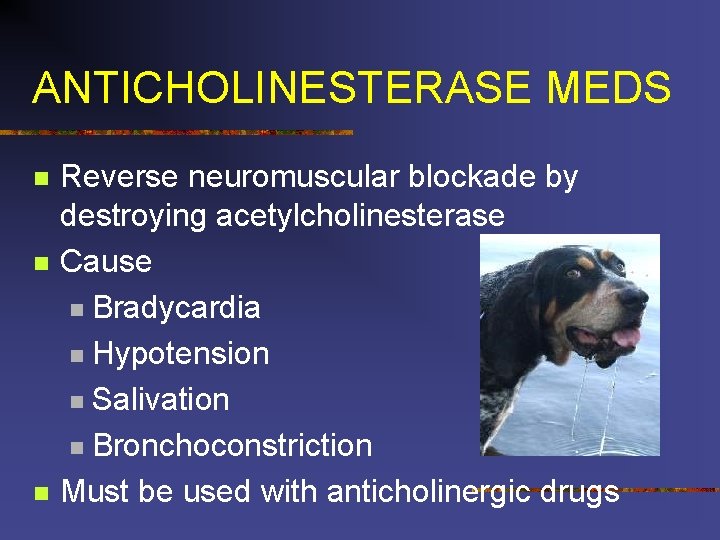 ANTICHOLINESTERASE MEDS n n n Reverse neuromuscular blockade by destroying acetylcholinesterase Cause n Bradycardia