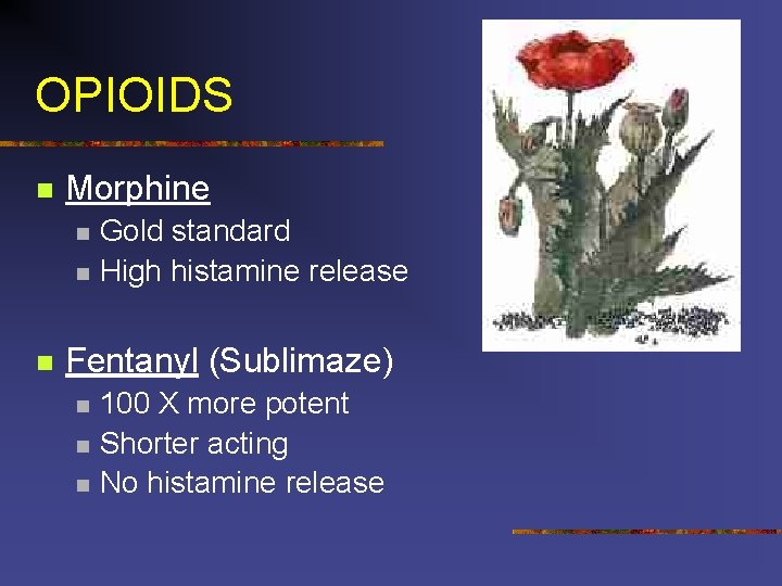 OPIOIDS n Morphine n n n Gold standard High histamine release Fentanyl (Sublimaze) n