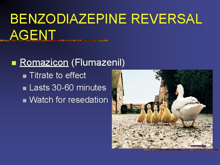 BENZODIAZEPINE REVERSAL AGENT n Romazicon (Flumazenil) n n n Titrate to effect Lasts 30