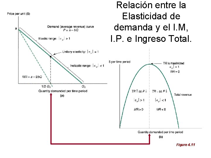 Relación entre la Elasticidad de demanda y el I. M, I. P. e Ingreso