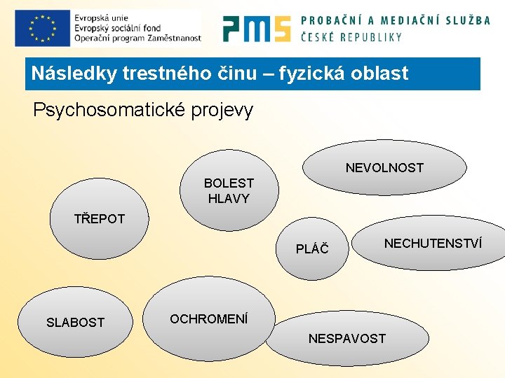 Následky trestného činu – fyzická oblast Psychosomatické projevy NEVOLNOST BOLEST HLAVY TŘEPOT PLÁČ SLABOST