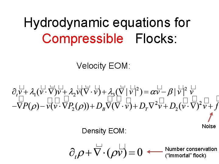 Hydrodynamic equations for Compressible Flocks: Velocity EOM: Density EOM: Noise Number conservation (“immortal” flock)